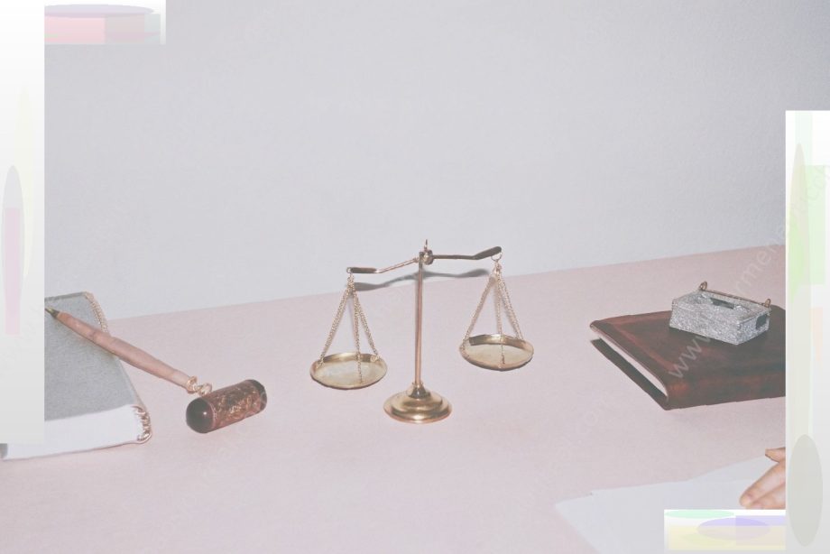 Access to Justice for All: Pro Bono Services in Employment Law