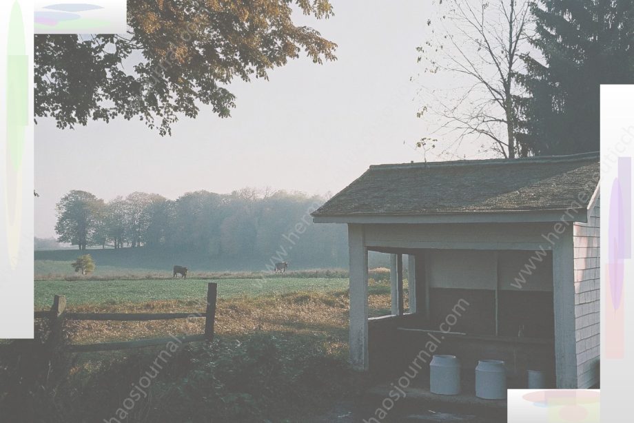 Raw Milk in Ohio: What the Law Says